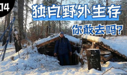 野外生存视频,跟随视频探索生存技巧与智慧